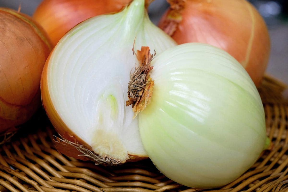 البصل في ليبيا؛ الانواع المتوفرة الطازج المنجمد المعلب مخلل مجفف onion