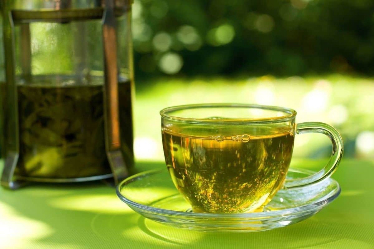 الشاي الأخضر في الصيدليات؛ يخفض مستوى الكوليسترول اشهرها الصيني الياباني Tea