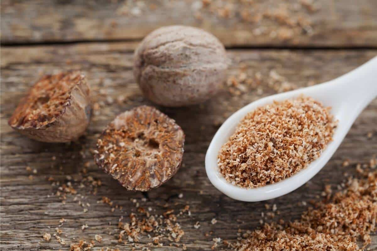 جوزة الطيب في السعودية؛ توابل الهندية بذرة ذات قشرة صلبة Nutmeg