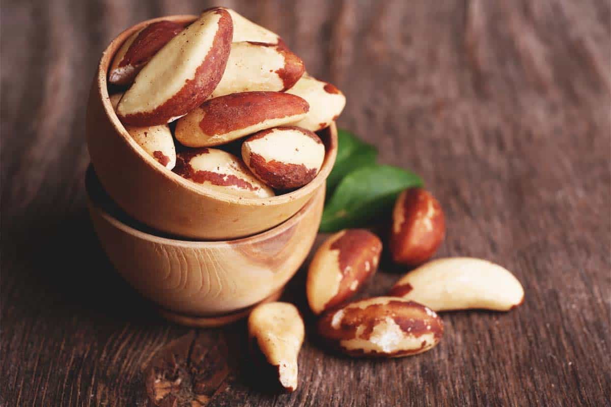 الجوز البرازيلي في الجزائر؛ فاكهة كبيرة تحسن وظائف المخ مضادة للاكسدة nut
