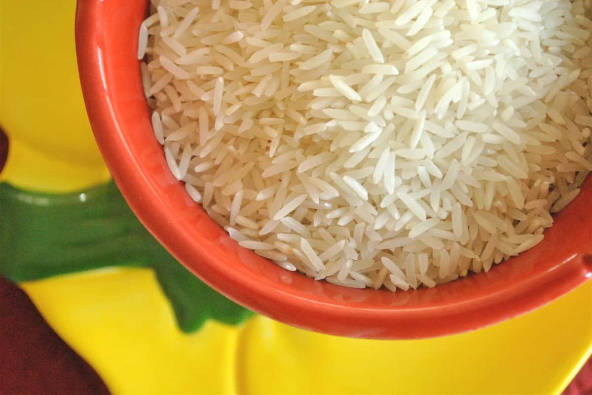 الأرز في عدن؛ تربة رطبة متوفر بكثرة نبات متجعد 2 انواع (الابيض البني)