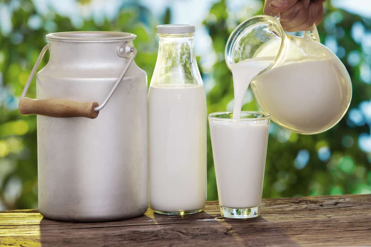 الحليب عند الفلاح 2023؛ نمو الأطفال عبوات غير الشفافة بوتاسيوم فيتامين ب 12 calcium