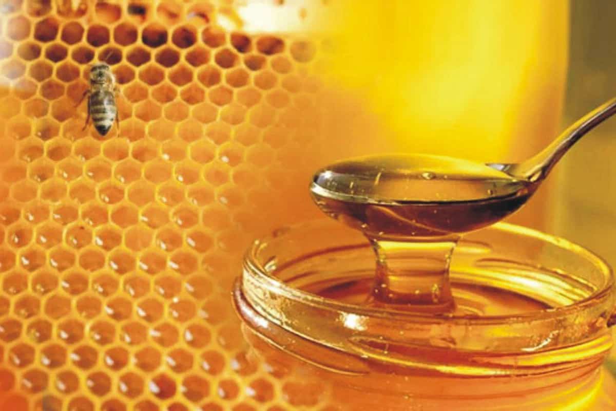 العسل الحر في الجزائر؛ رحيق النباتات المزهرة زجاجي بلاستيكية