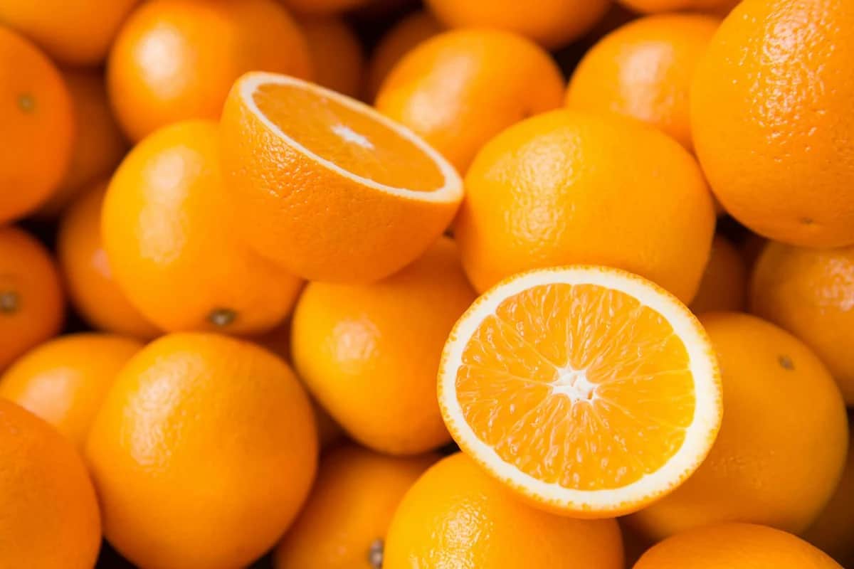 البرتقال في السعودية؛ اصفر احمر المستدير السرة كاروتينويد Vitamin C