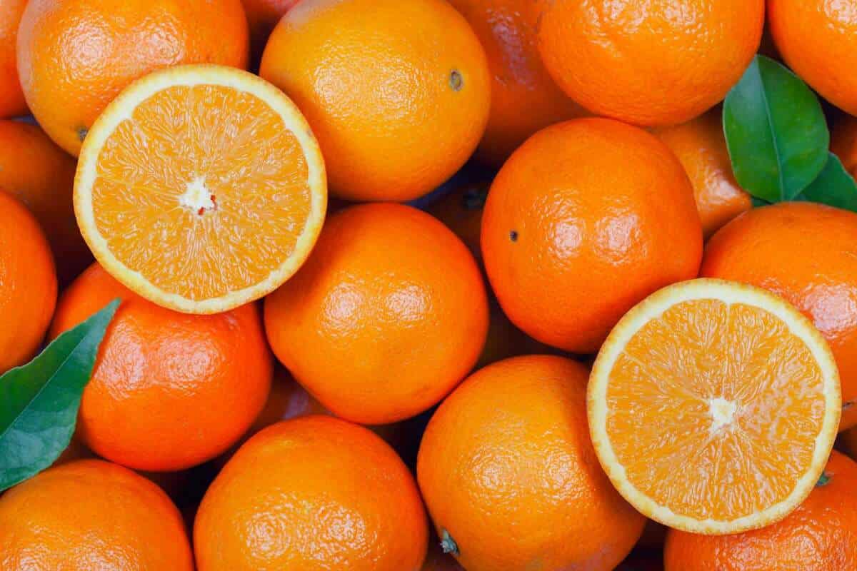 البرتقال في الجزائر، الاصفر الاحمر تقوية جهاز المناعة الفيتامينات minerals