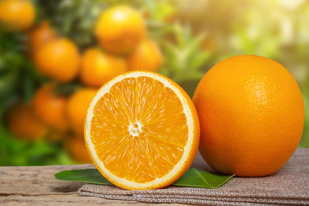 البرتقال في السوق؛ صحي حلو حامض مليئًا بالبذور Vitamin E, C