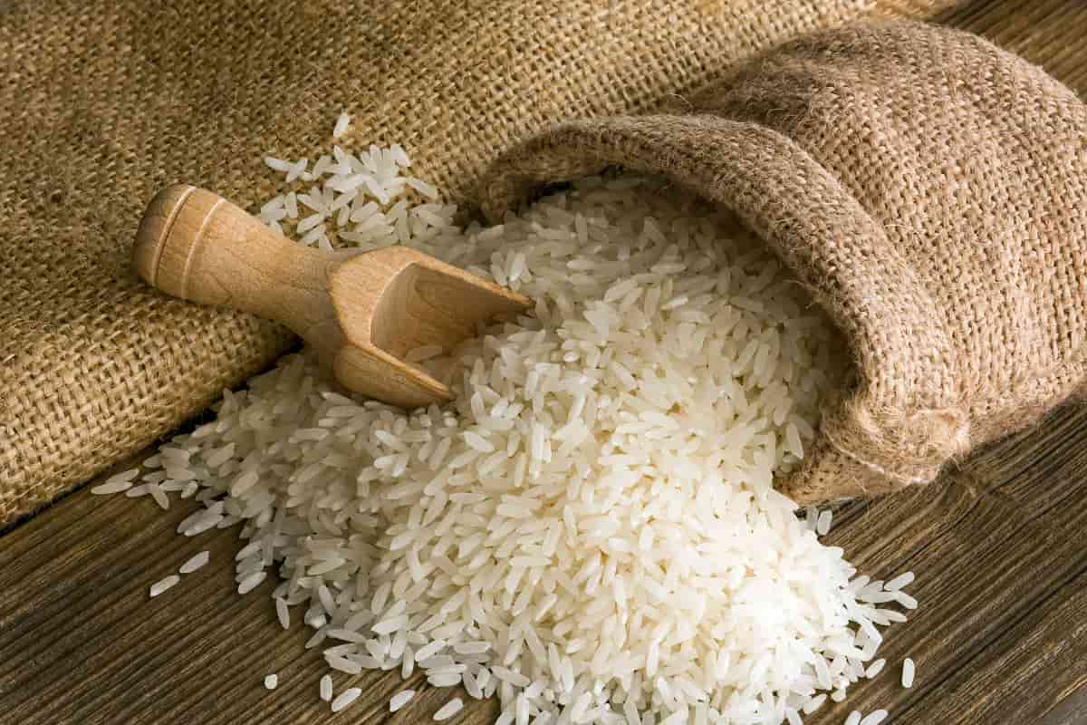 الأرز الأبيض في مصر اليوم؛ بذور بيضاء بلوريا فيتامينات أملاح معدنية Vitamin D