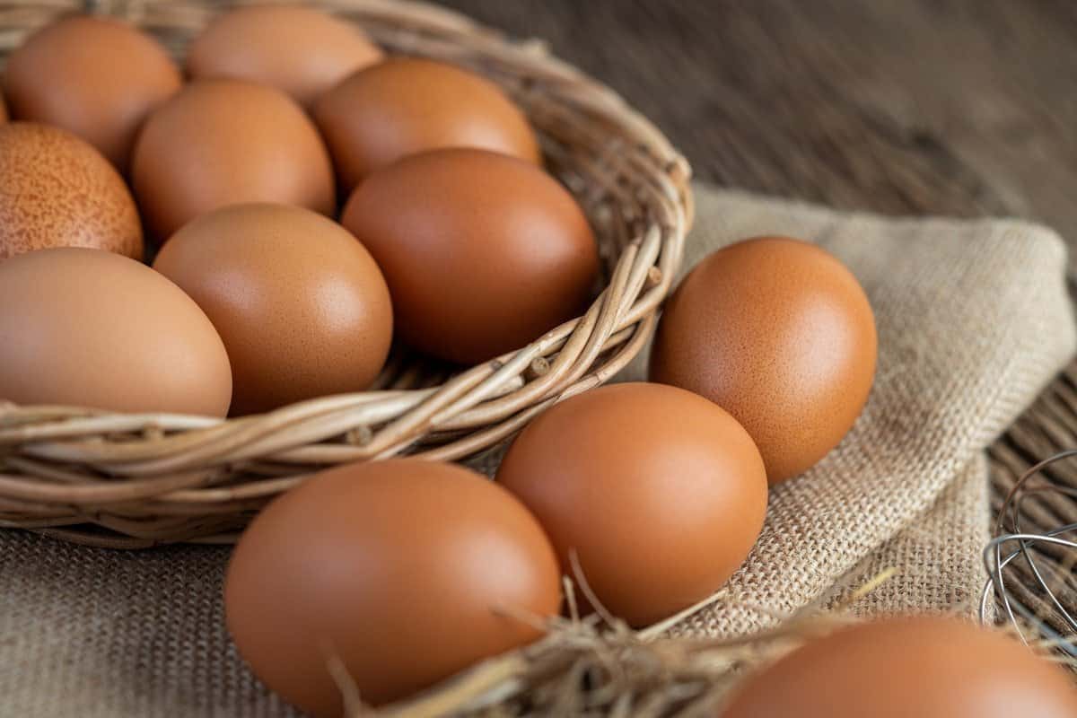 البيض الاحمر اليوم فى مصر (البلدي) لذيذا مغذي نمو الأطفال المراهقين