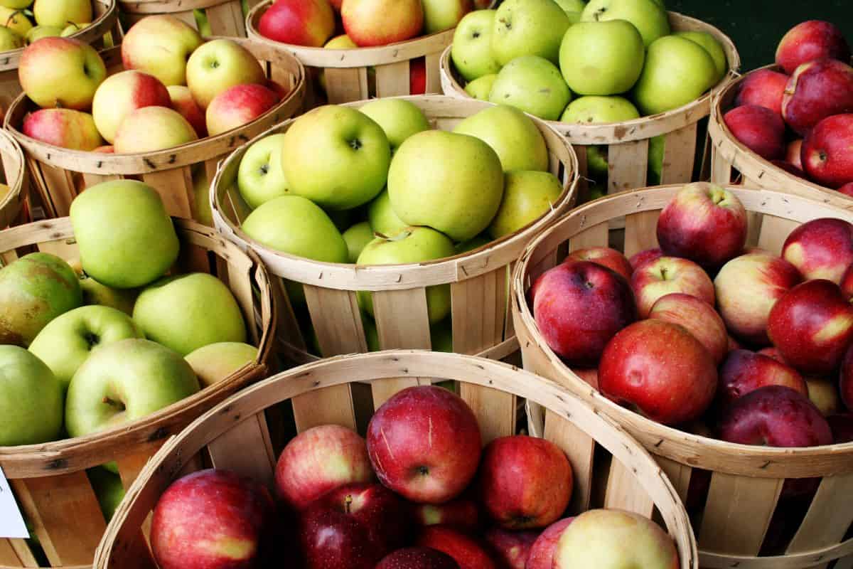 التفاح في السعودية؛ حامض حلو شهي كبيرة صغيرة 3 انواع الأحمر الأخضر الأصفر