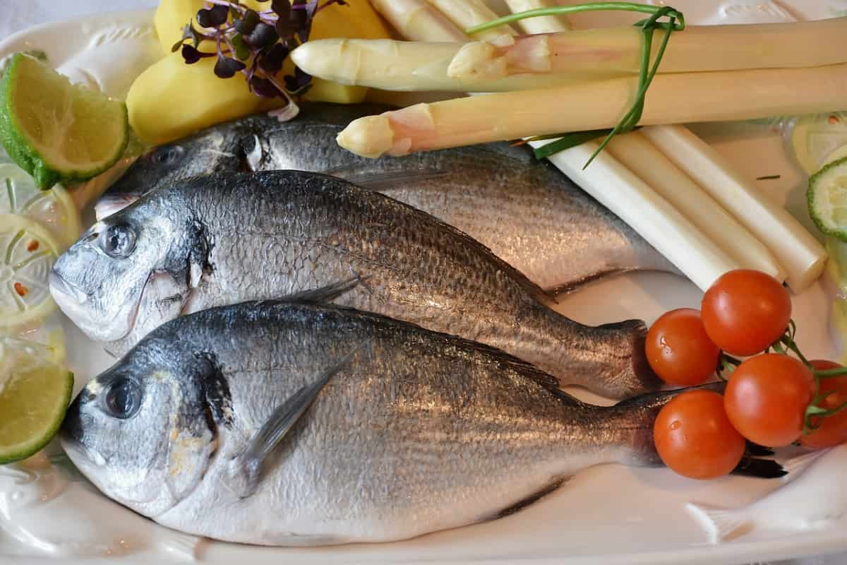 السمك فى سوق العبور اليوم؛ السلمون البلطي بوري مستزرعًا بحريًا Omega 3