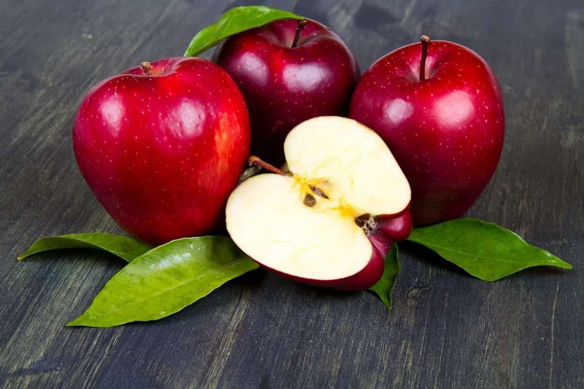 التفاح في ايران؛ حلو كثير العصارة الصفراء الأحمر الأخضر 7500 نوع