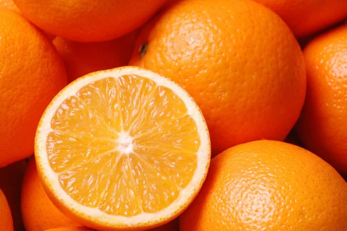 البرتقال في تونس؛ حلو عادي حامض الاصفر مهدئ فيتامين سي magnesium
