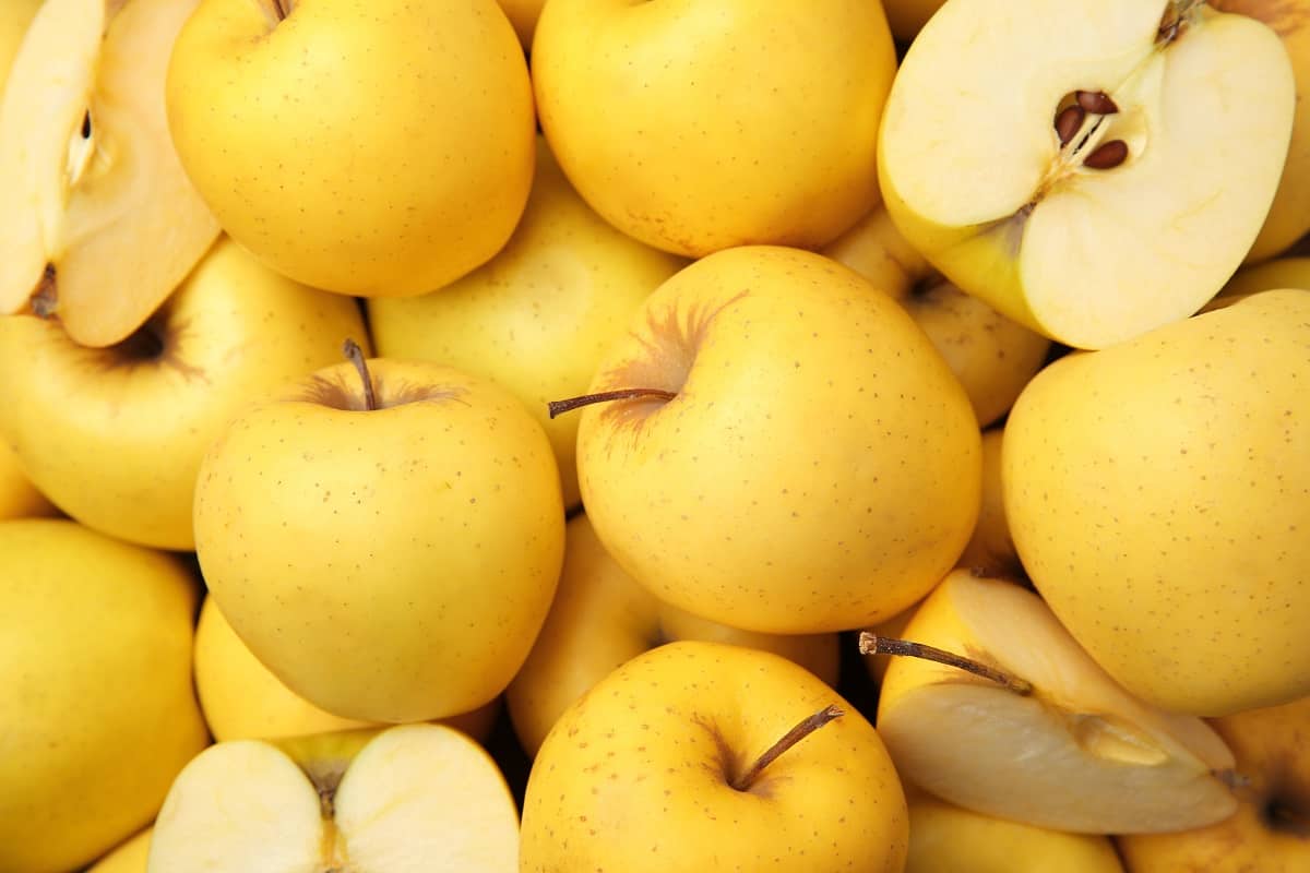التفاح الأصفر اليوم؛ المجفف المركز الكومبوت تحسين كثافة العظام الفيتامينات المعادن
