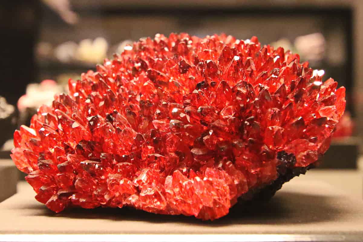 حجر المرجان الطبيعي؛ الأحمر البرتقالي السوداء تقوية القلب صنع المجوهرات