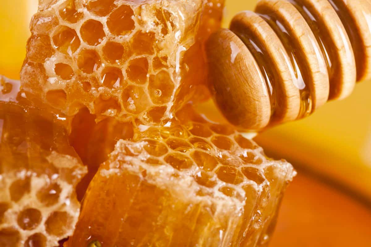 عسل النحل في الامارات؛ حلو مفيد للصحة رحيق الزهور النباتات