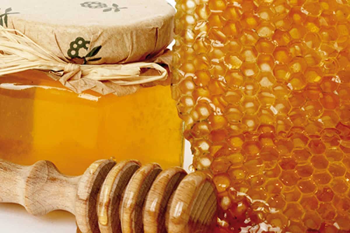 عسل النحل في الجزائر؛ الاصفر شفاف المناطق الدافئة تحسين عملية الهضم