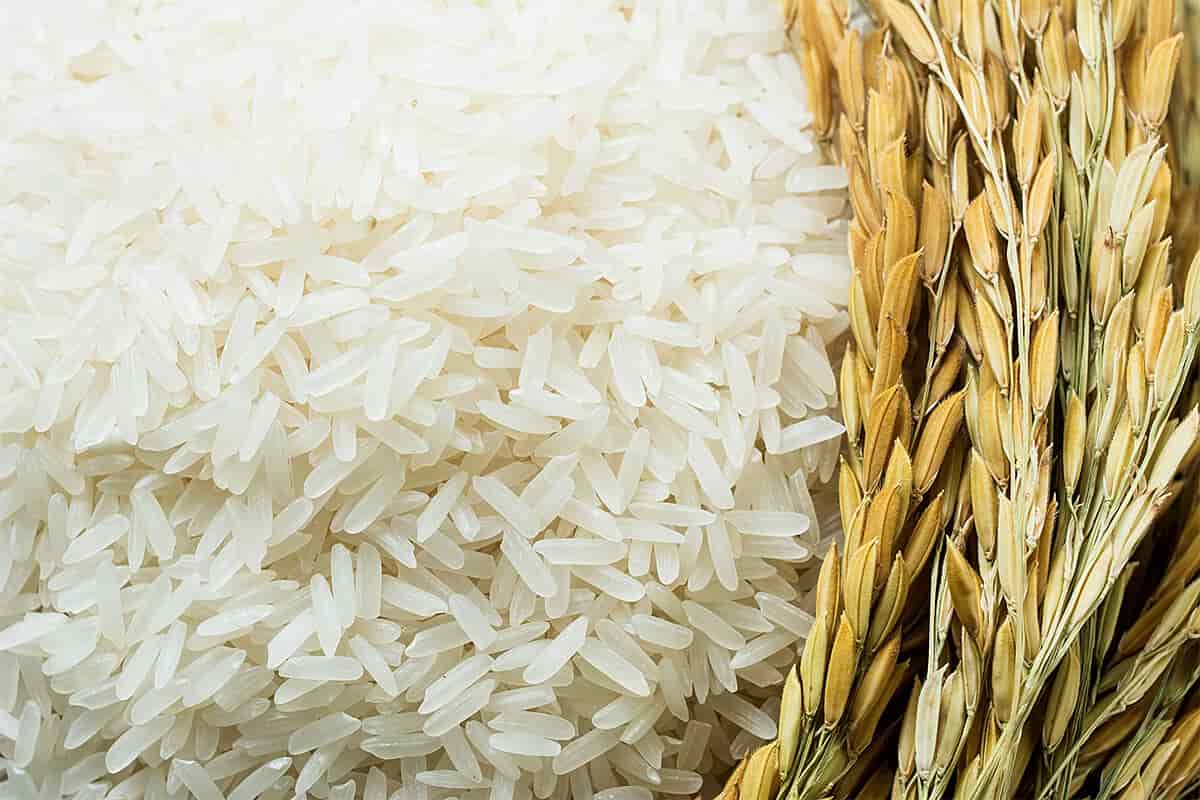 الأرز الأبيض البسمتي؛ طويل الحبة معطر نكهته خاصة الآسيوية