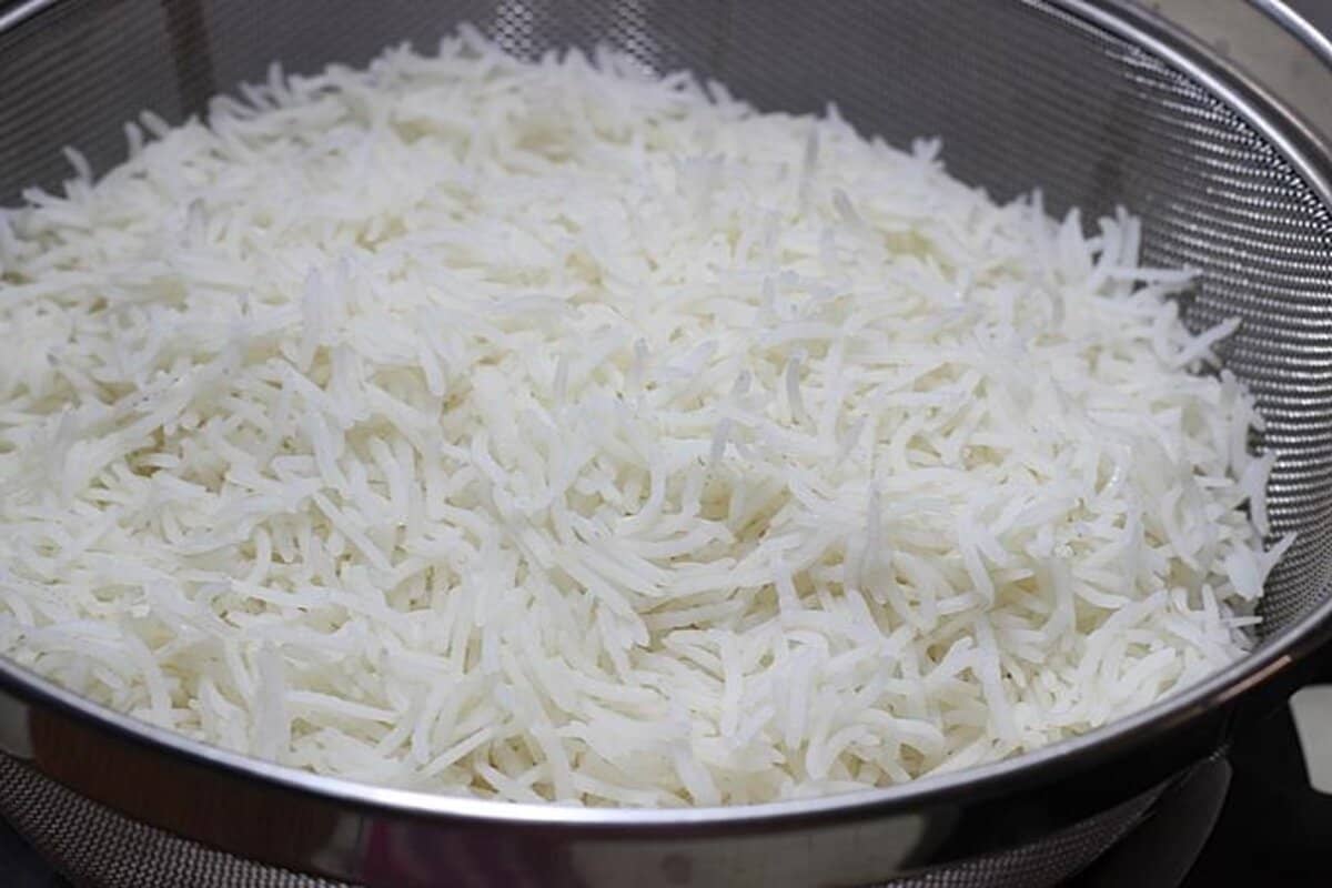 الأرز البسمتي 2023؛ منتج طويل الحبة زراعة الهند rice
