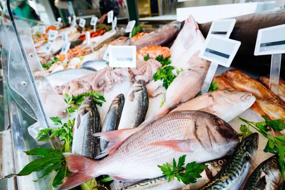 السمك اليوم فى سوق العبور؛ يمنع النوبات القلبية الحديد الفيتامينات A B D