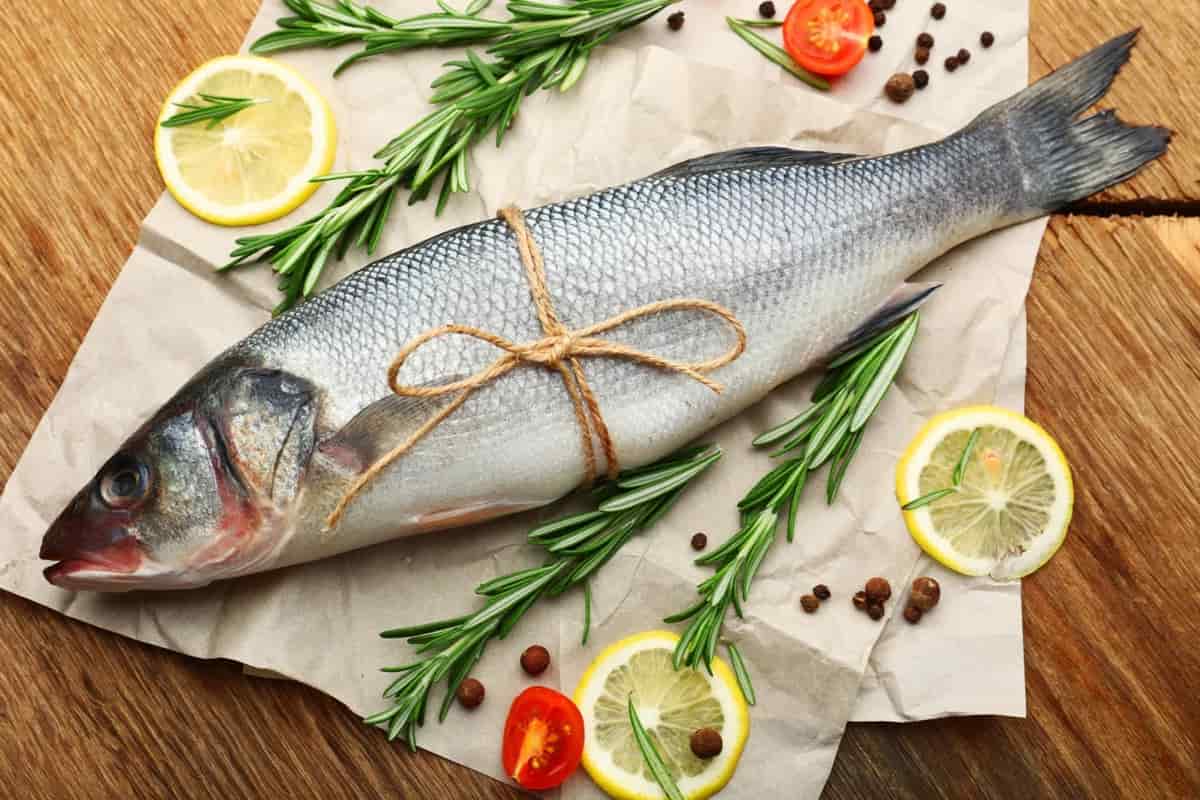 السمك في تونس؛ مأكول بحري مصدر غني البروتين مفيد الأنسجة العضلية
