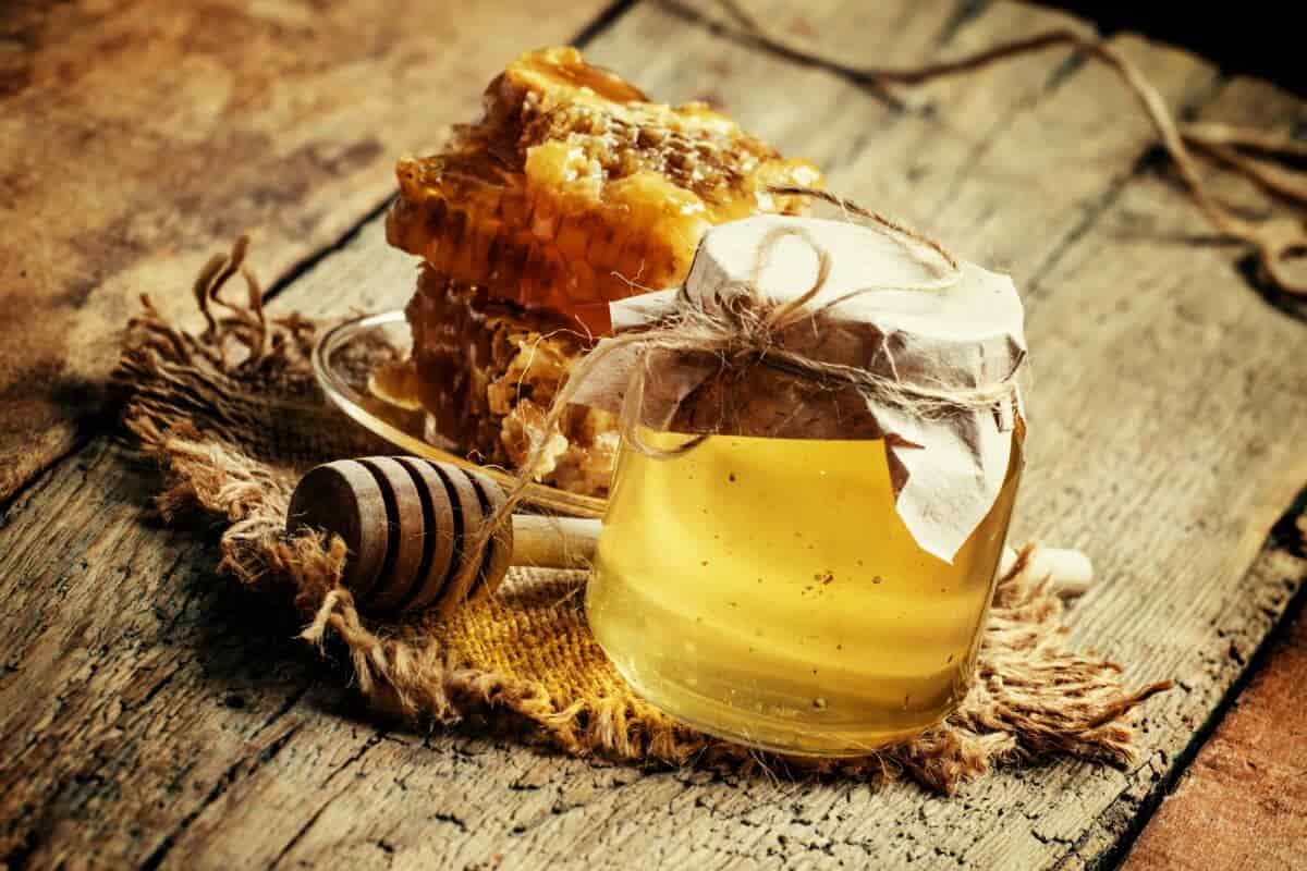 العسل الجبلي في السعودية؛ تغذية النحل رحيق أزهار طعام مغذي