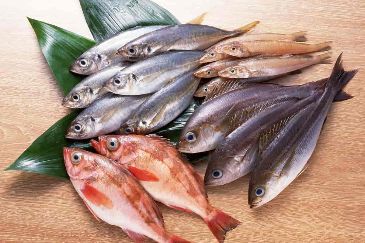 السمك في دبي؛ منع النوبات القلبية أعماق المحيطات أوميغا 3 vitamin D