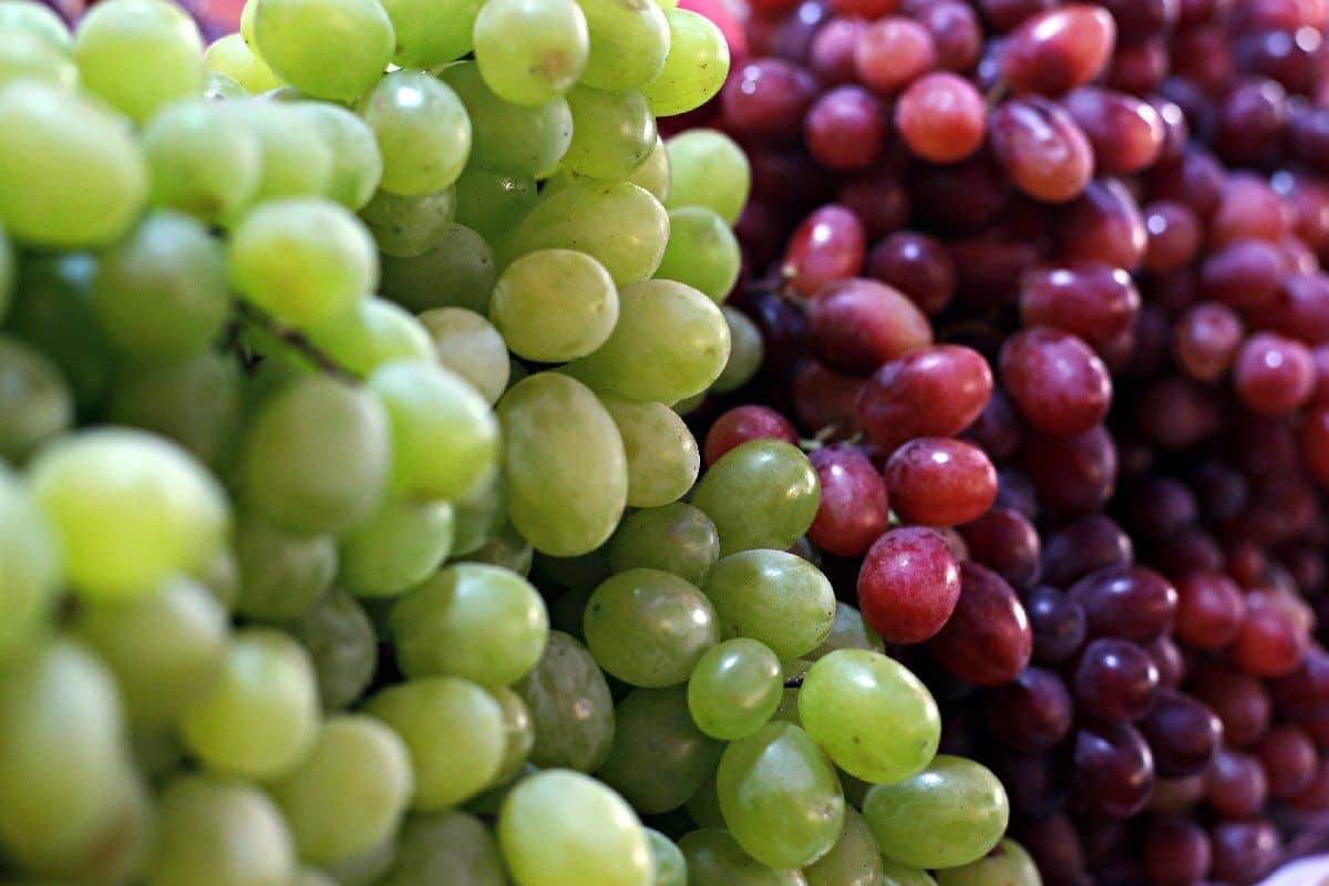 العنب في السودان؛ الأسود الأخضر الأرجواني حلو حامض تنظيم ضغط الدم