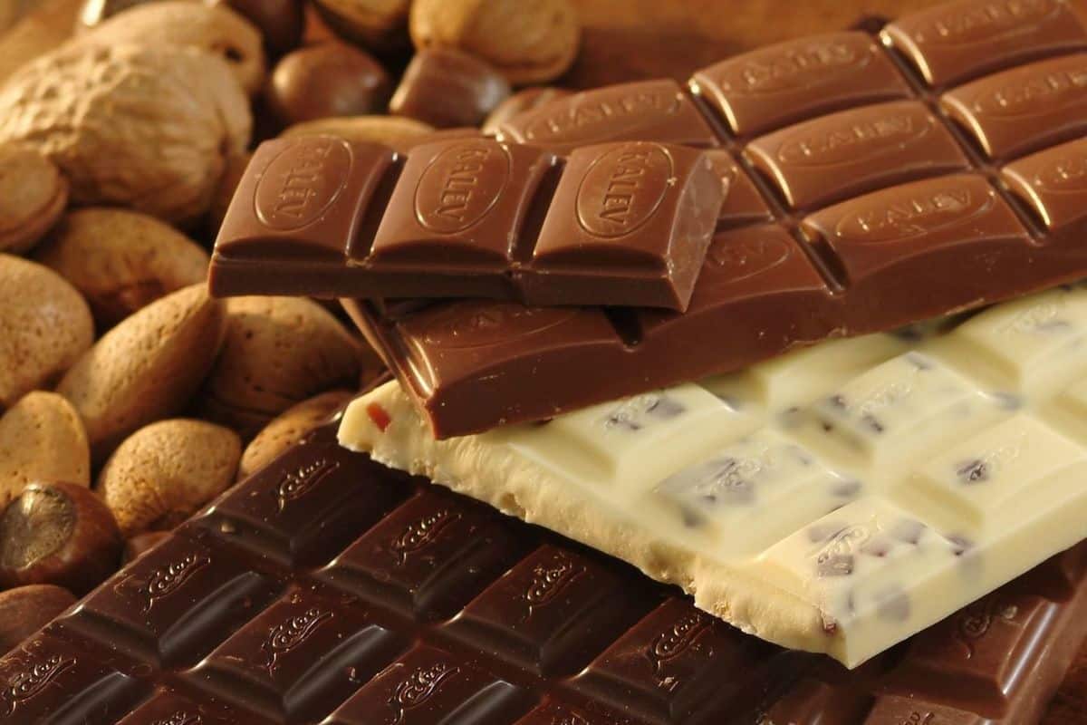 الشوكولاتة في الجزائر؛ يقوي الجهاز العصبي المغنيسيوم الكالسيوم فيتامين D