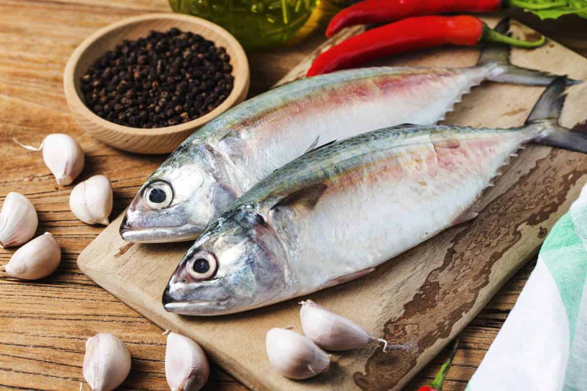 سمك الباغة اليوم؛ الرمادي تقليل مخاطر الخرف بروتين Omega 3
