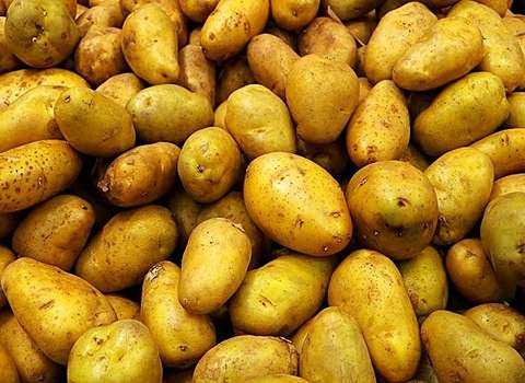 أنواع البطاطس دليل شامل للاختيار المثالي