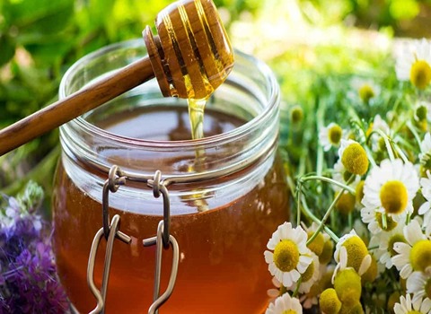 تجارة وفوائد العسل البري