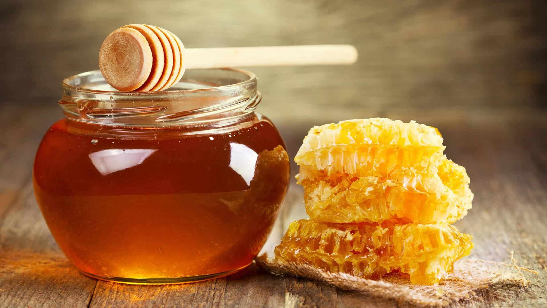العسل خلية النحل
