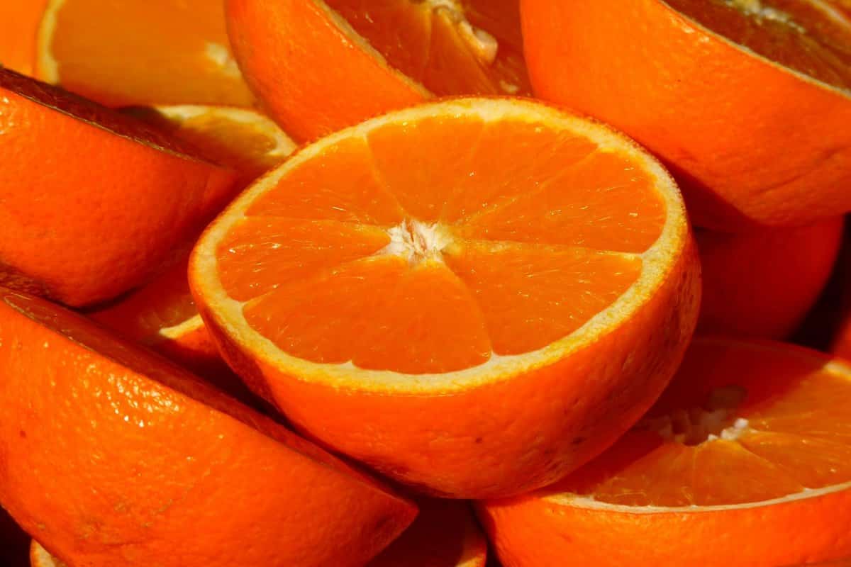 البرتقال الشموطي