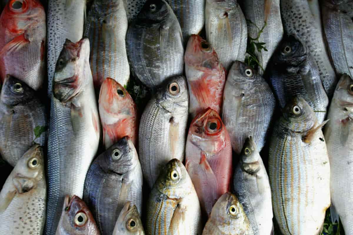 السمك سوق شرق