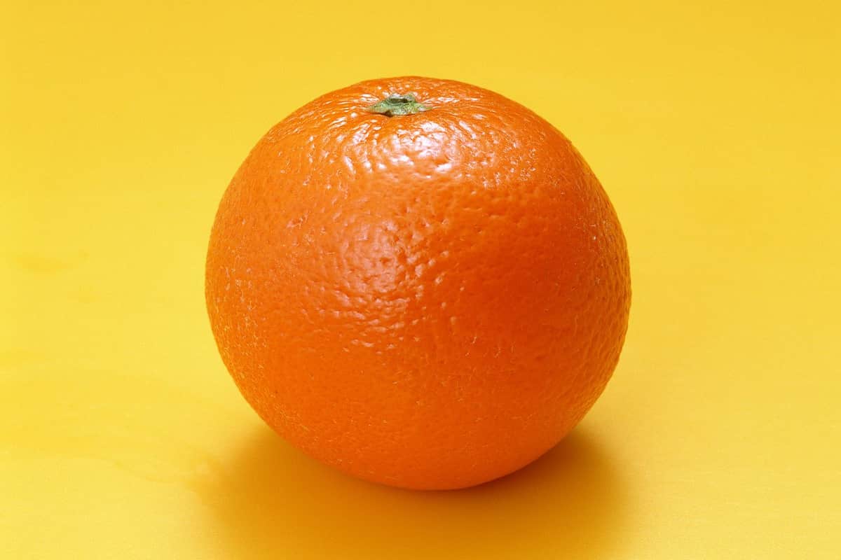 البرتقال الشفشي 