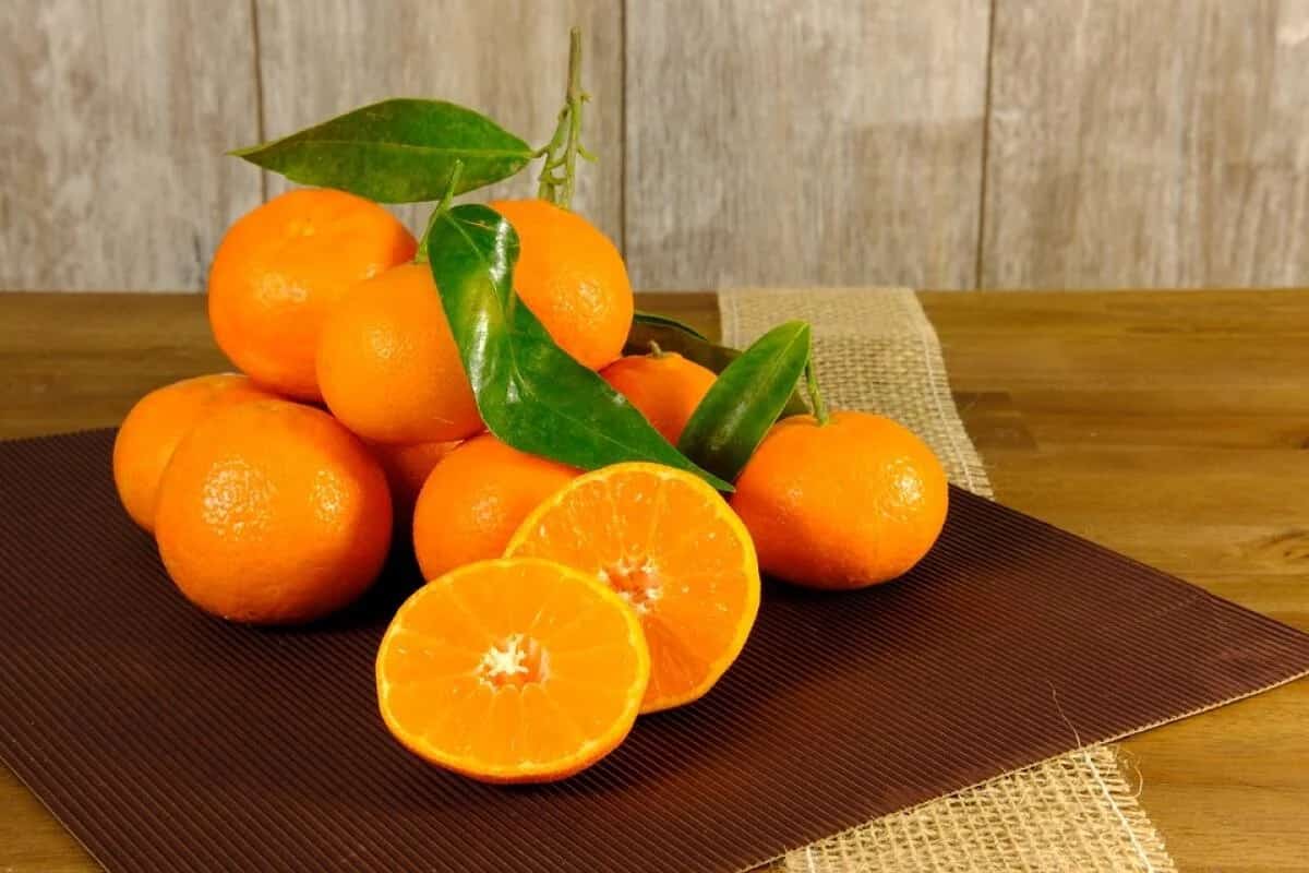 البرتقال الاحمر ابو دمو