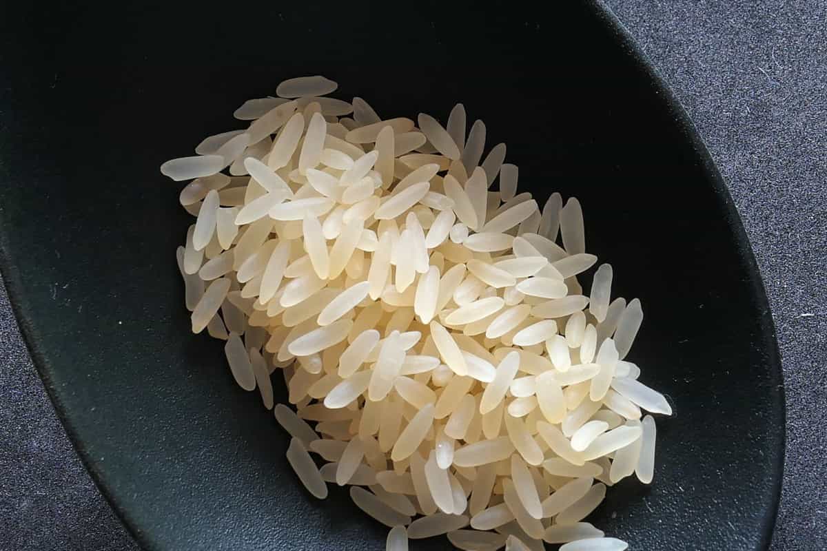 زراعة الأرز في الصين