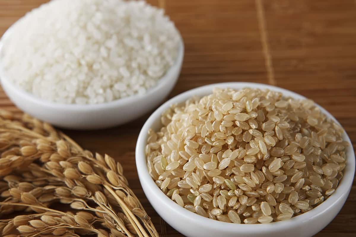 ارز الشعير في مصر
