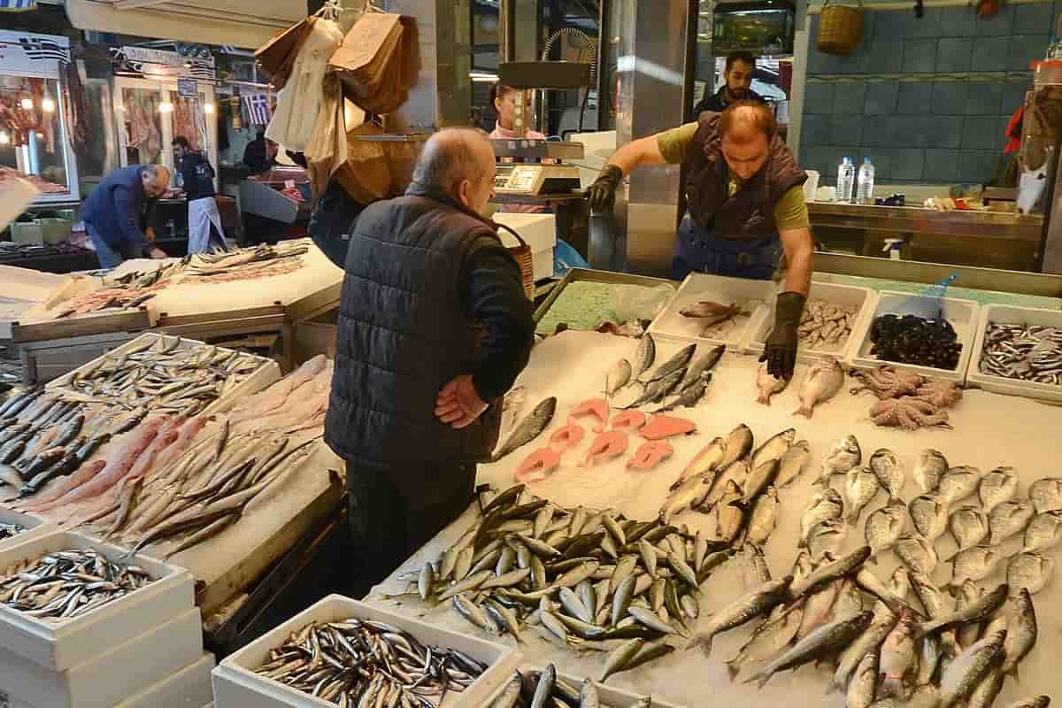 السمك سوق الدمام