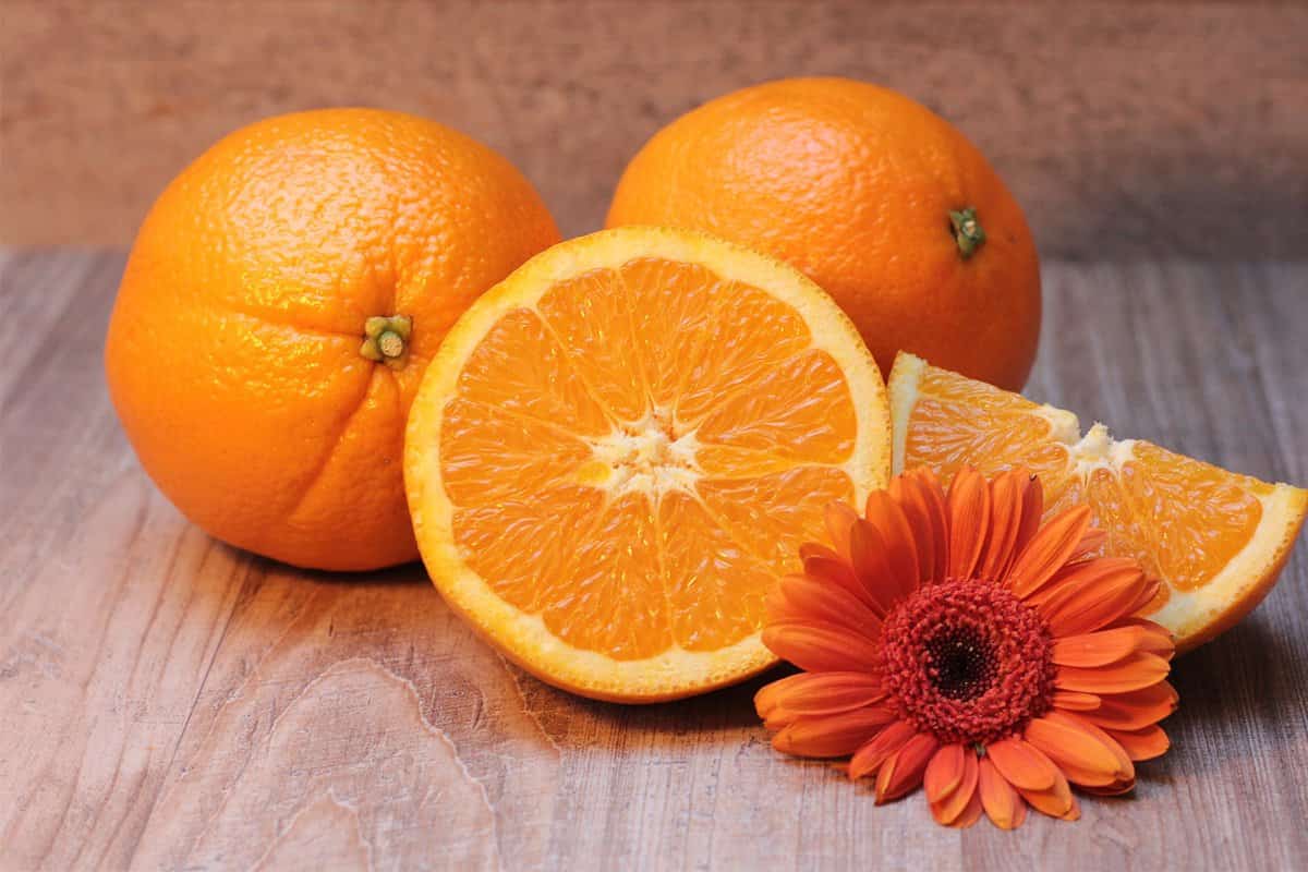 أنواع البرتقال في مصر