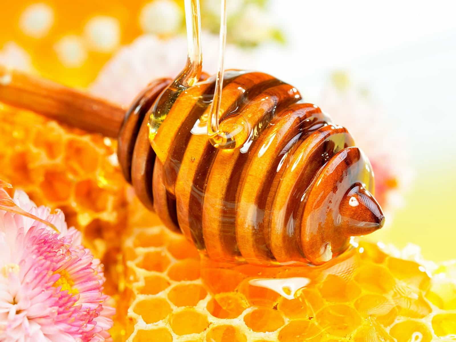 العسل الطبيعي