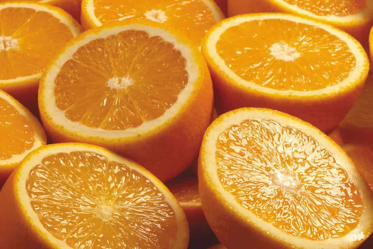 البرتقال الاخضر 