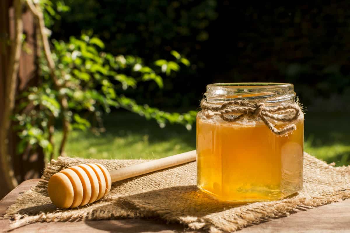 العسل السدر الاصلي