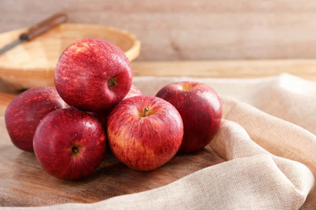 التفاح الاحمر اليرموك
