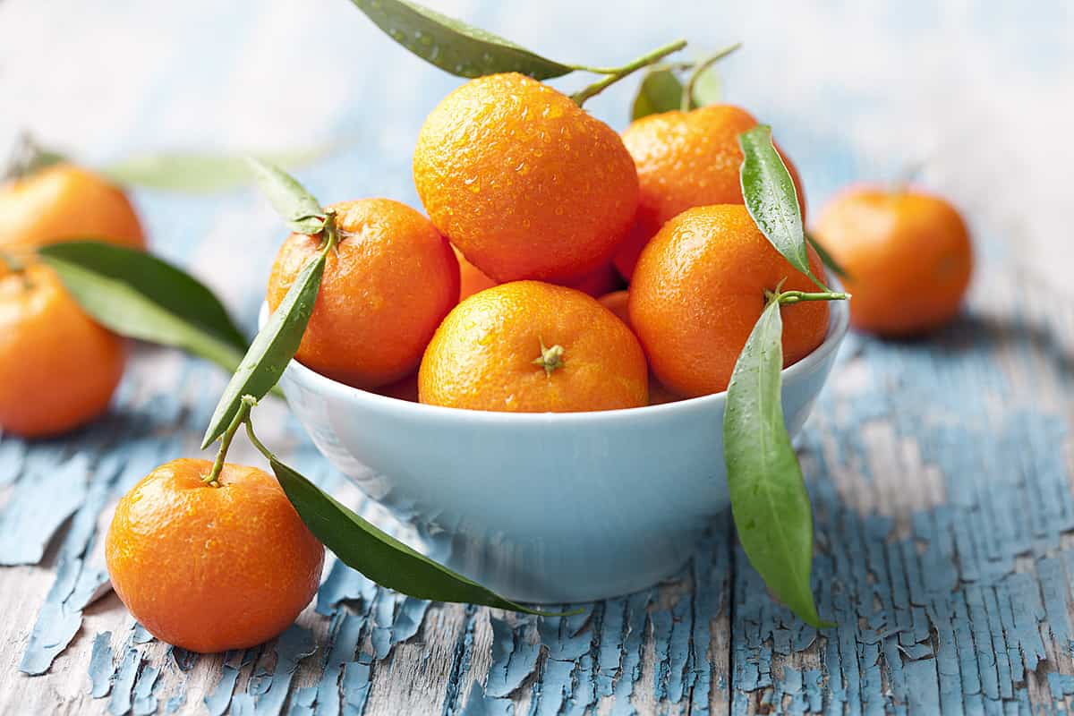 البرتقال في الجزائر
