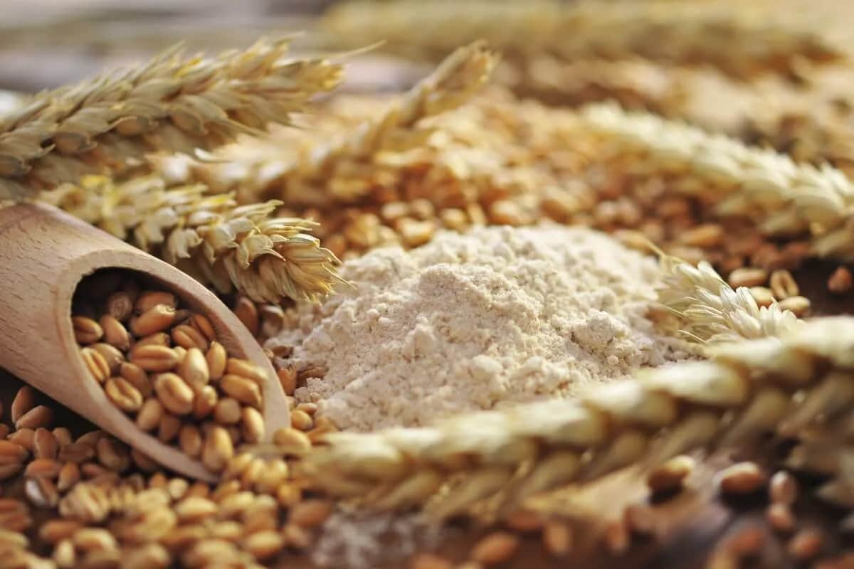 حصاد القمح في سوريا