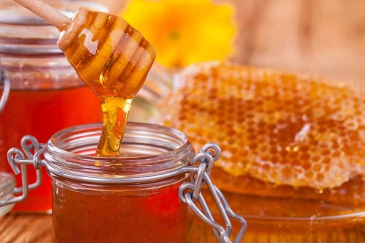 انواع العسل الحر في الجزائر