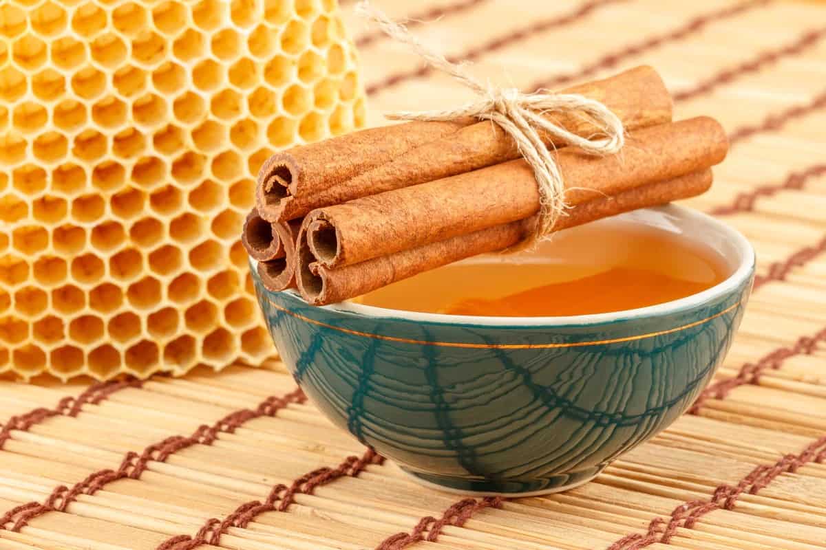 العسل الحيوي