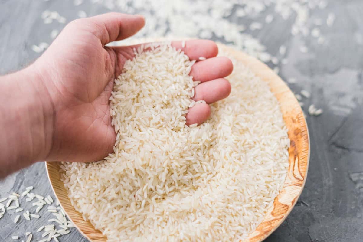 الأرز المصري الجديد