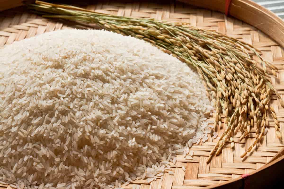 الرز الحساوي